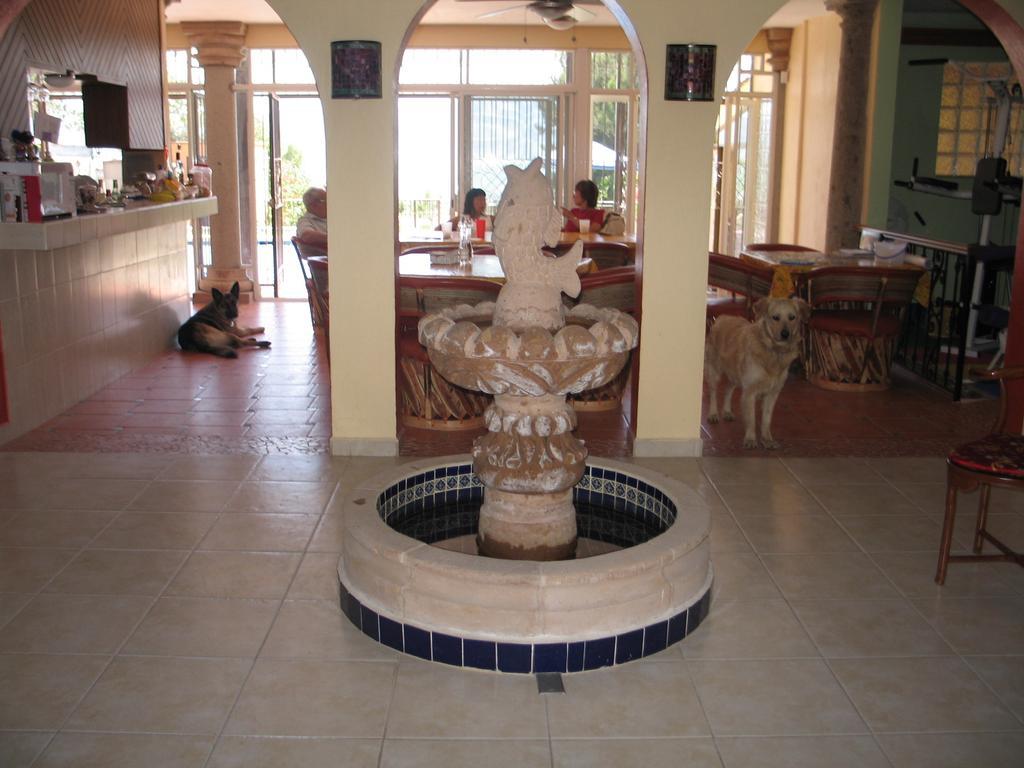 La Puerta Violeta Guesthouse & Spa San Juan Cosala Ngoại thất bức ảnh